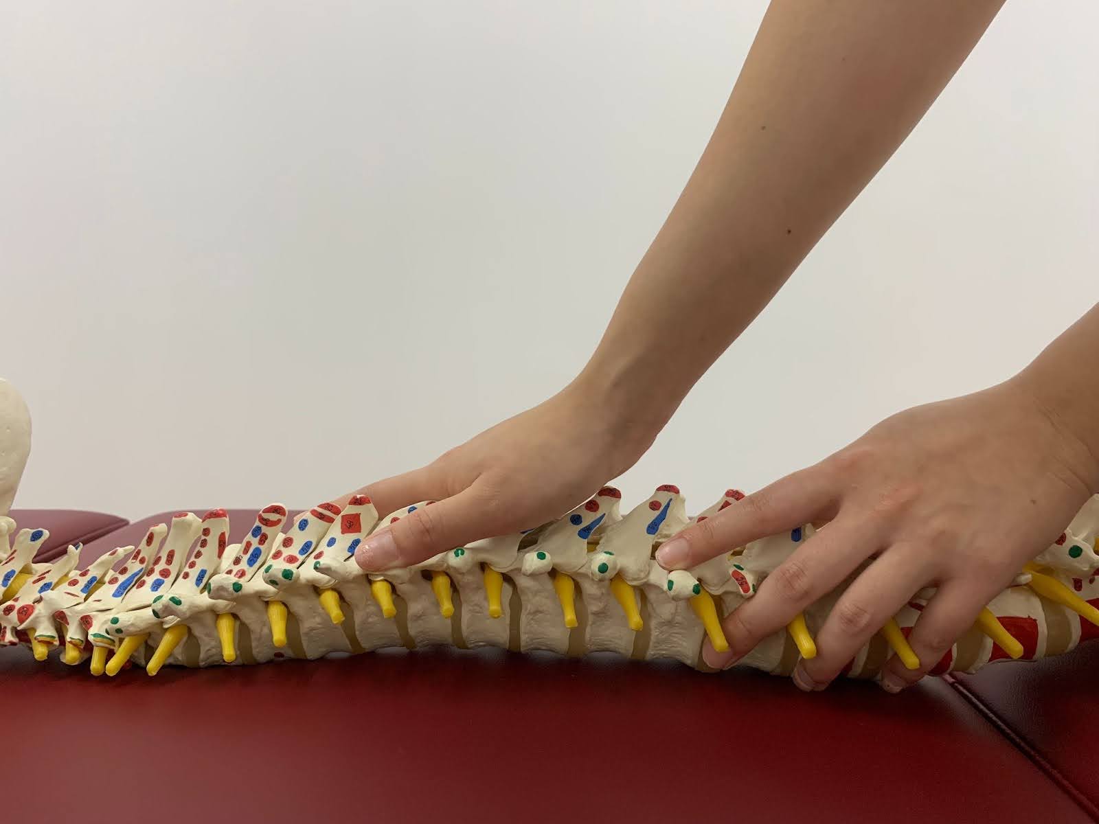 how-sacro-occipital-chiropractor-helps